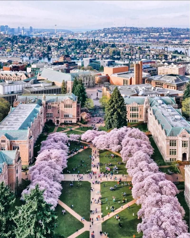 加州大学河滨分校